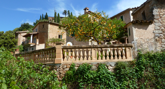 Haus, Palmen, Blumen | © Wandern Mallorca (c) Klemens Kittinger (3)