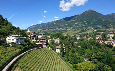 Weinreben,Häuser,Himmel | © (C) Manuela Strasser