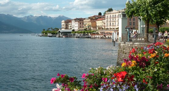 See,Blumen.Stadt | © Bellagio (c) Pixabay