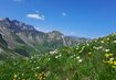 Berg, Wiese,Himmel | © Natur (c) Lungkofler Bettina