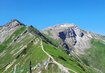 Berg, Blumen, Steine | © Gipfelblick (c) Lungkofler Bettina