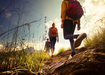 Wanderer, Pflanzen, Berge | © shutterstock_209357416