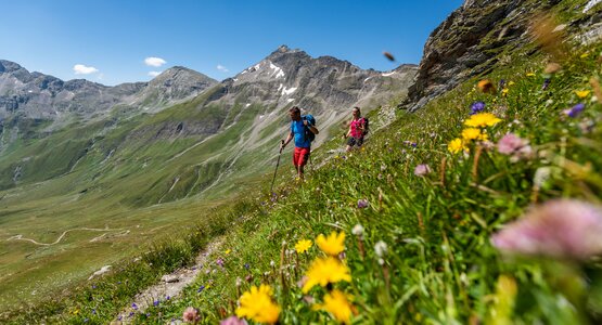 Wanderer,Blumen,Berge | © ©FRANZGERDL THW _5610
