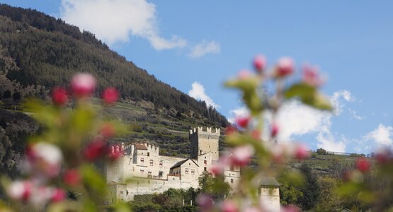 Vinschgau Churburg  | © Vinschgau Marketing-Frieder Blickle
