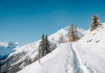 Berge, Schnee, Bäume, Fußspur | © (c) TV LATSCH-MARTEL I Benjamin Pfitscher