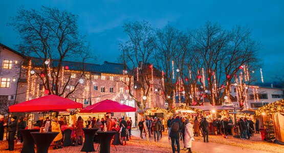 Christkindlmarkt, Bäume, Lichter | © Eröffnung Kitzbüheler Advent 22-11-2023 (c) Kitzbuehel Tourismus (6)