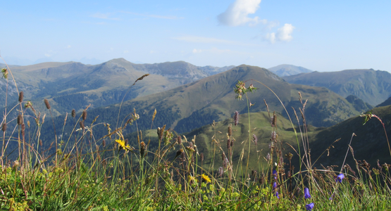 Nockberge Berge Wandern Österreich Kärnten | © Barbara Hausberger