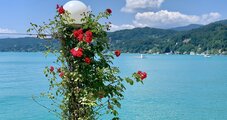 Pörtschach Wörthersee Kärnten Österreich | © Tanja Tripold